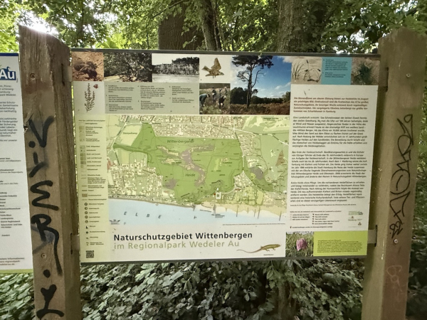 Falkensteiner Ufer in Hamburg