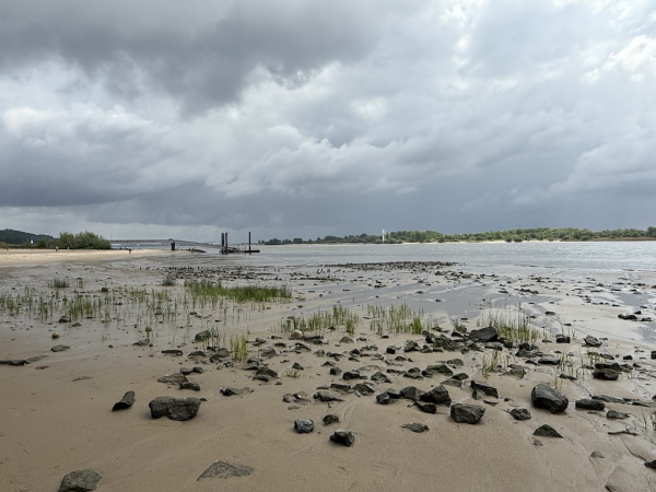 Falkensteiner Ufer in Hamburg